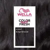Wella Professionals Color Fresh Mask Cool Expresso