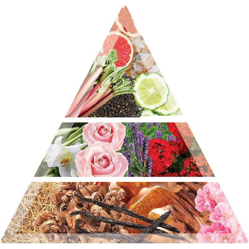 BALMAIN VETIVER 1974 HAIR PERFUME 100ML